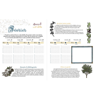 AGENDA HILDEGARDE DE BINGEN 2026