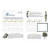 AGENDA HILDEGARDE DE BINGEN 2026