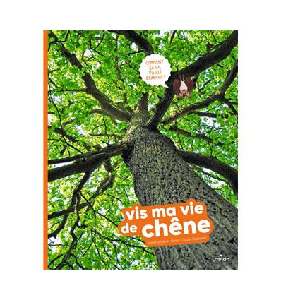 Vis ma vie de chêne