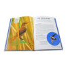 Guide d'observation des oiseaux