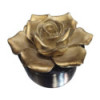 La rose étincelante