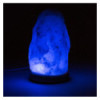 LAMPE DE SEL BRUTE USB LED