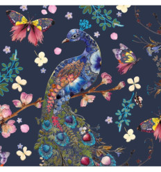 The majestic peacock
