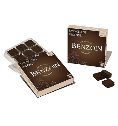 BRIQUES ENCENS BENJOIN