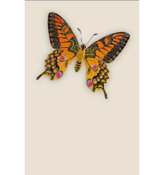 CP PAPILLON ORANGE DORE