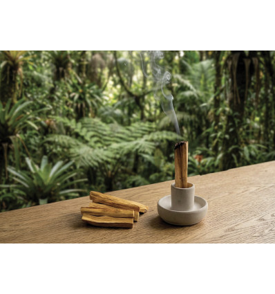 BATONNETS PALO SANTO 
