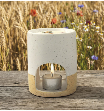 Diffuseur pour fondant en cire