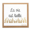 Carte simple "La vie est belle "