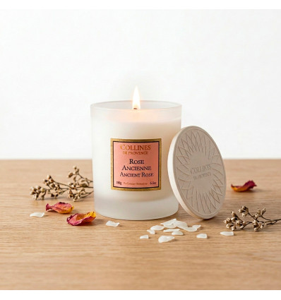 Rose ancienne