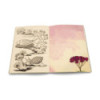 Carnet " Gratitude"