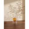 Amber Heart