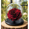 La rose éternelle