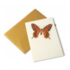 CP PAPILLON ORANGE DORE