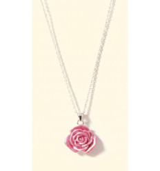 Rose tendresse