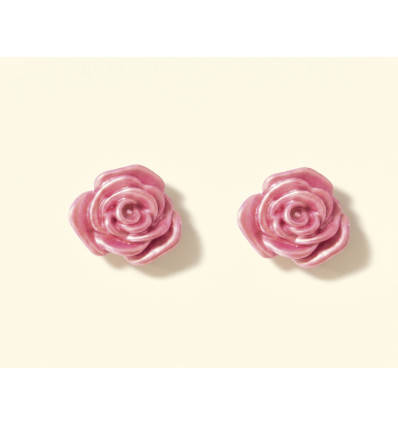 "Rose tendresse"