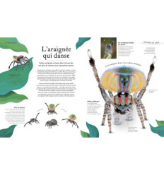 Anthologie illustrée de la Nature extraordinaire