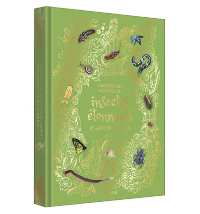 L'anthologie illustrée des insectes étonnants et autres petites bêtes