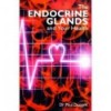 The endocrine glands and your health