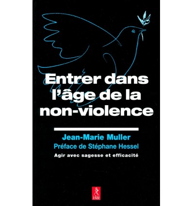 Entrer dans l’âge de la non-violence