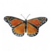 Broche Papillon monarque