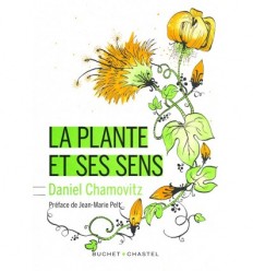 La plante et ses sens