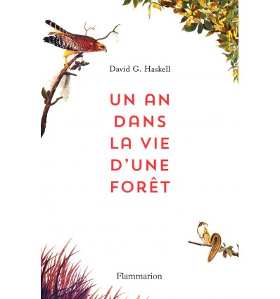 Un an dans la vie d'une forêt