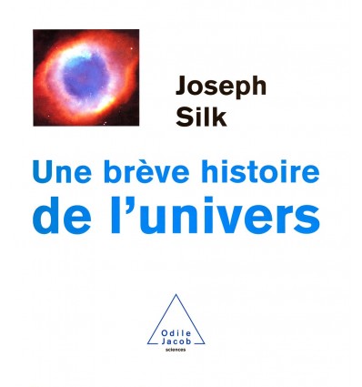 Une brève histoire de l'univers