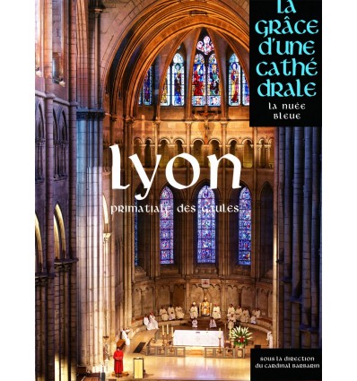 Lyon - La grâce d'une cathédrale