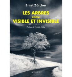 Les arbres entre visible et invisible