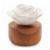 Soul of the Rose diffuser