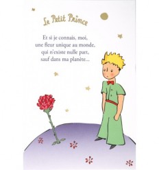 Carte Le Petit Prince Et Si Je Connais Moi Une Fleur Unique Diffusion Rosicrucienne