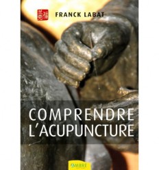 Comprendre l'acupuncture