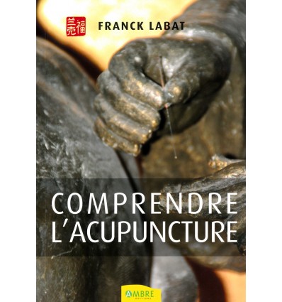 Comprendre l'acupuncture