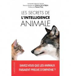 Les secrets de l'intelligence animale