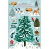 Christmas tree Advent calendar