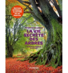 La vie secrète des arbres