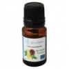 Organic Tonic synergy essential oil