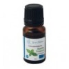 Organic Tropical Basil essential oil