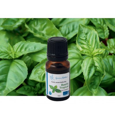 Huile essentielle Basilic Tropical Bio