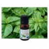 Organic Tropical Basil essential oil