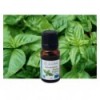 Huile essentielle Basilic Tropical Bio