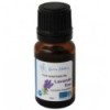 Organic Lavender essential oil