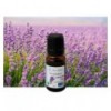 Organic Lavender essential oil