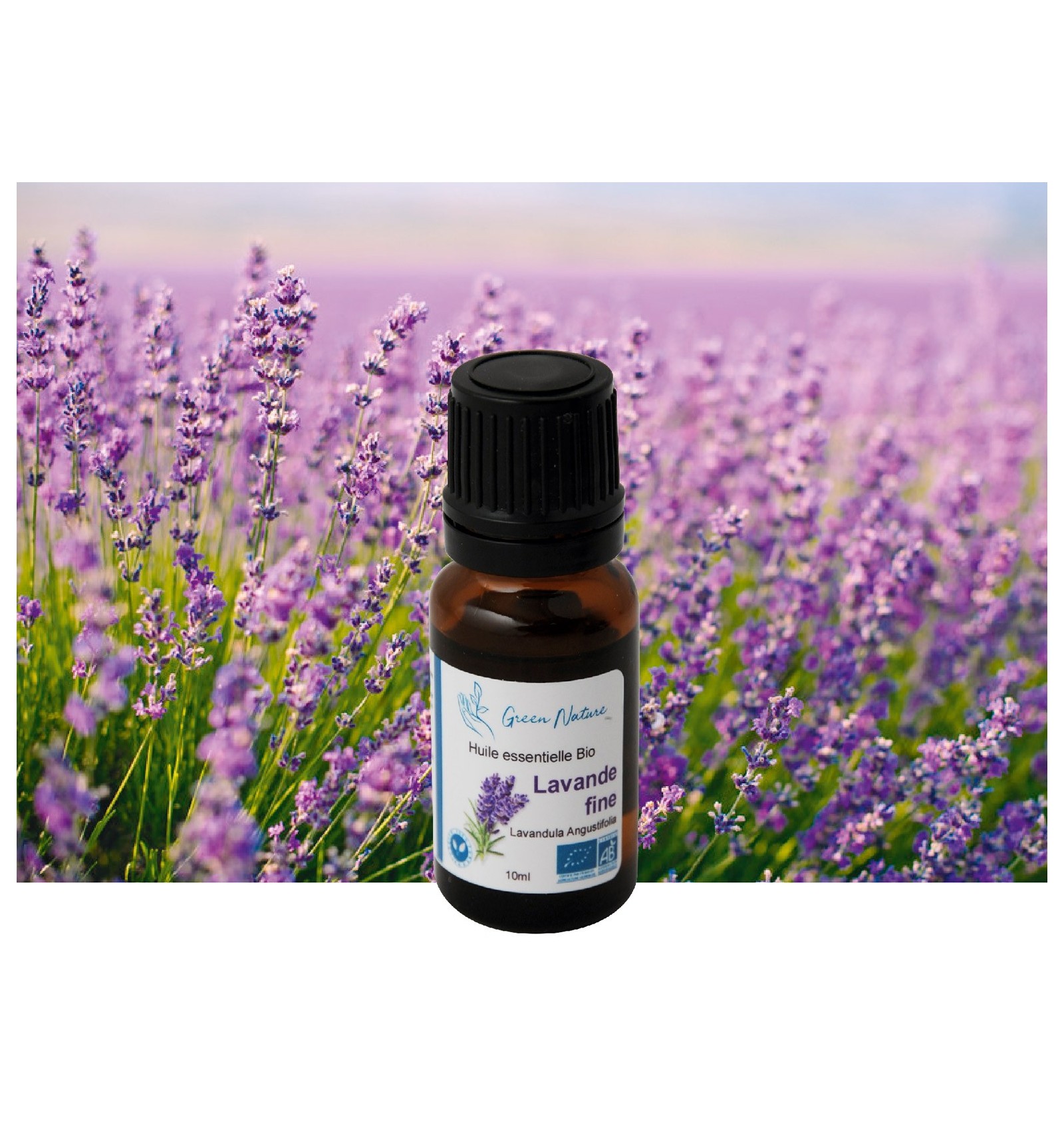 Huile essentielle bio de Lavande fine (Lavandula officinalis)