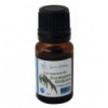 Organic Eucalyptus Globulus Essential Oil