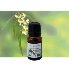 Organic Eucalyptus Globulus Essential Oil