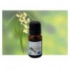 Huile essentielle Eucalyptus Globulus Bio