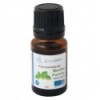 Organic Peppermint essential oil