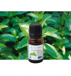 Organic Peppermint essential oil