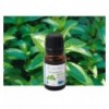 Organic Peppermint essential oil